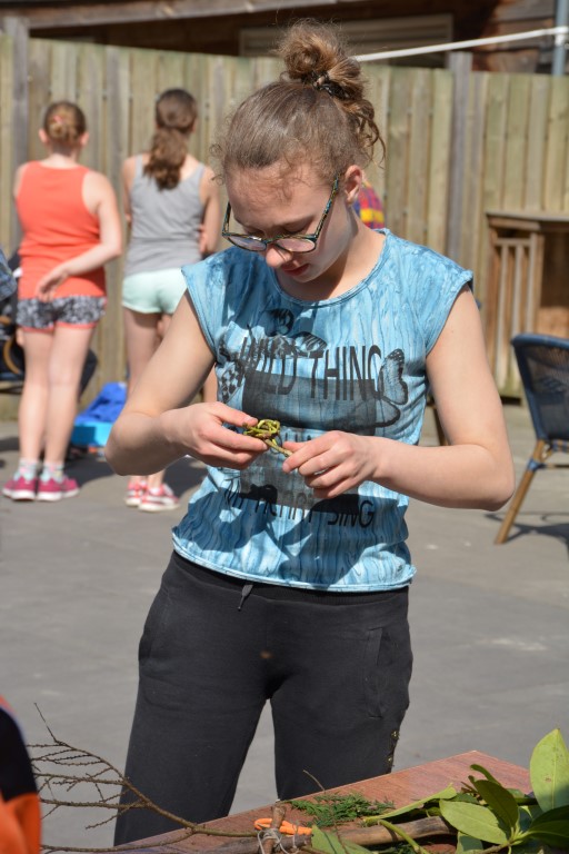 DSC_0701 (Medium).JPG